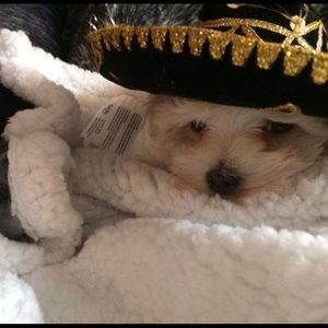 ❤️RESERVED❤️